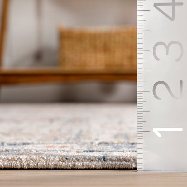 Nuloom Acelynn Distressed Traditional Area Rug Beige