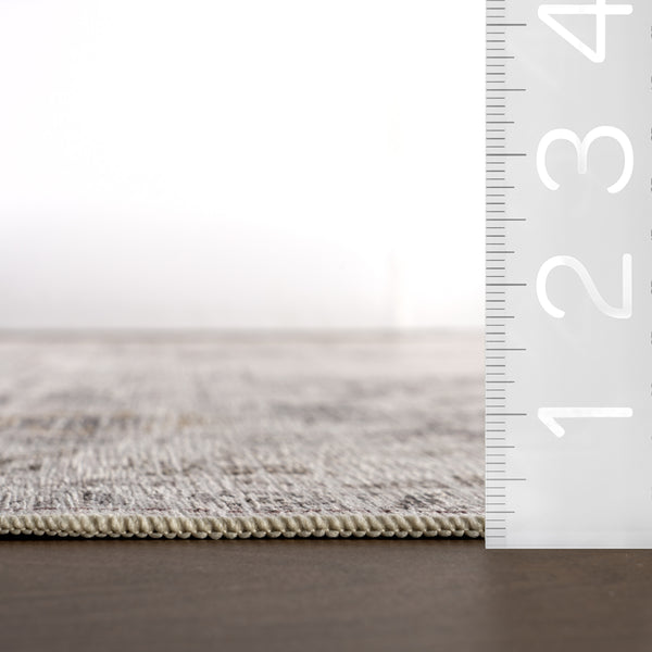 Nuloom Ainara Splashguard Traditional Machine Washahble Area Rug Beige