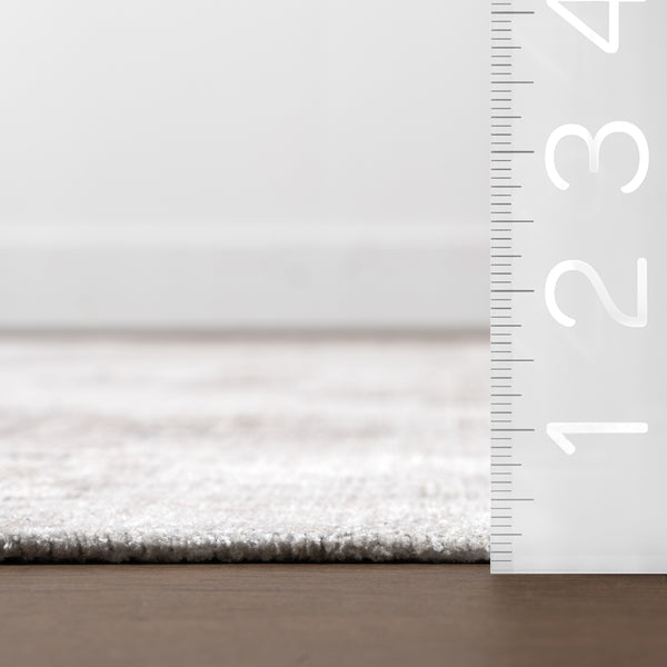 Nuloom Alexia SpinClean Traditional Machine Washable Area Rug Grey