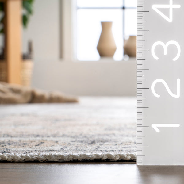 Nuloom Autumn Vintage Machine Washable Area Rug Gray