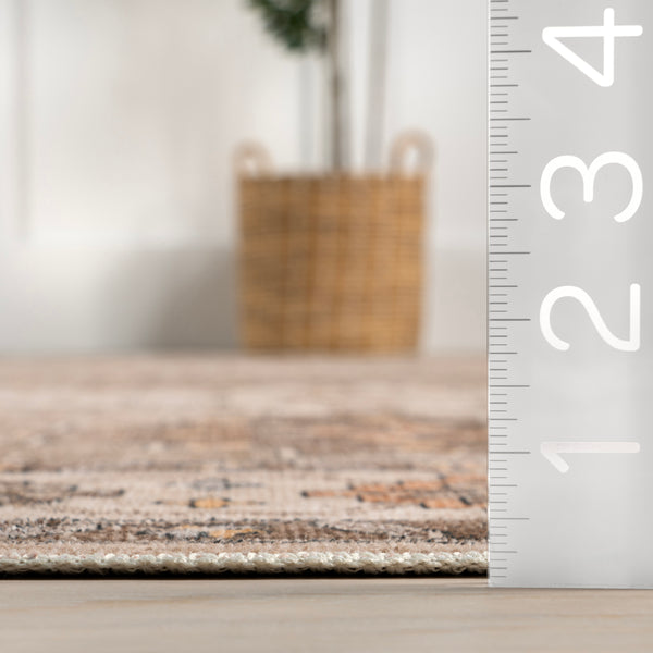 Nuloom Barbary Distressed Machine Washable Area Rug Blush