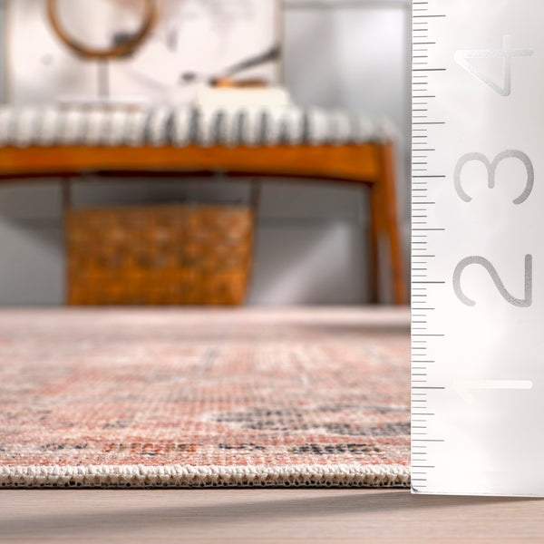Nuloom Evalina Traditional Cotton Machine Washable Area Rug Brown