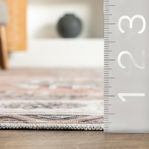 Nuloom Evelina Traditional Stain Repellent Machine Washable Area Rug Rust