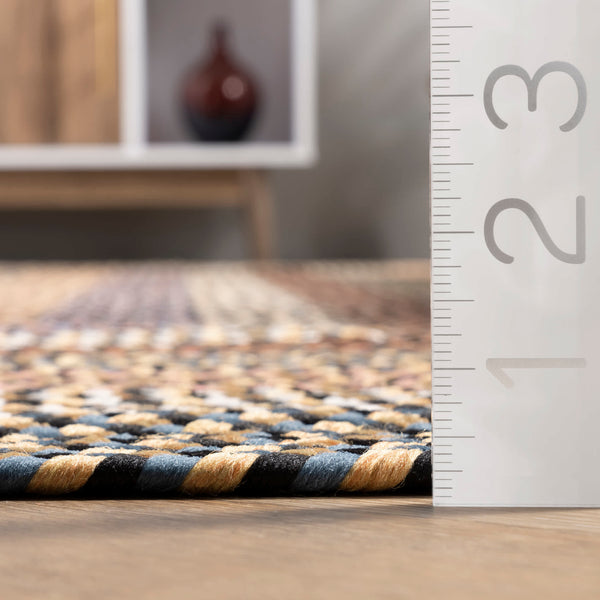 Nuloom Gwyneth Braided Borders Indoor/Outdoor Area Rug Taupe