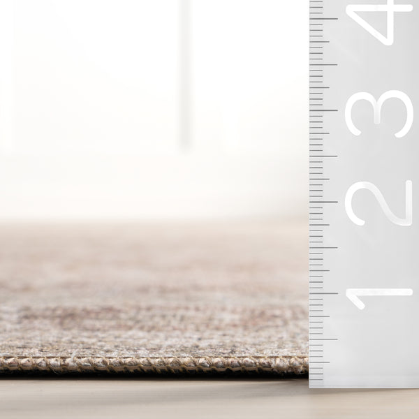 Nuloom Hillstone Collection Glenette Traditional Vintage Medallion Area Rug Rust