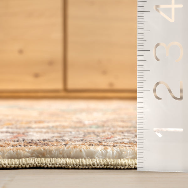 Nuloom Hollyn Vintage Medallion Machine Washable Area Rug Light Brown