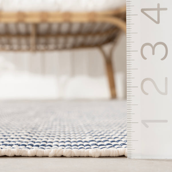 Nuloom Home Conservatory Pinstripe Handwoven Indoor/Outdoor Area Rug Blue