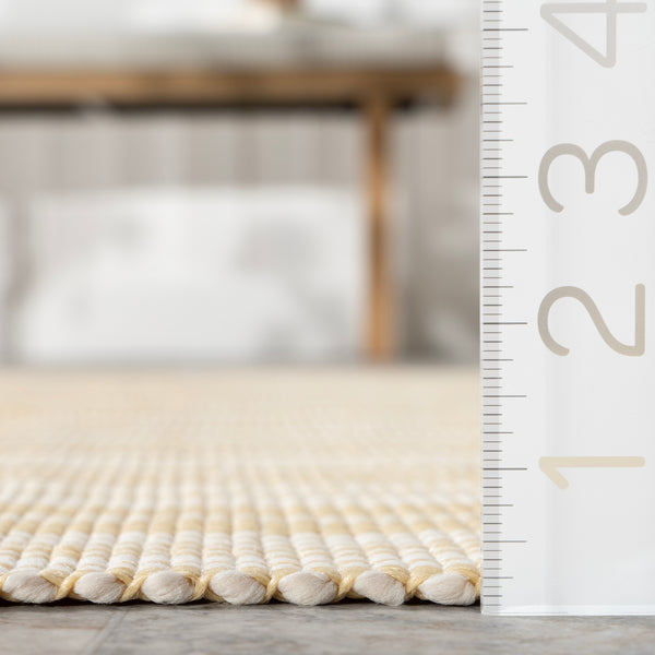 Nuloom Home Conservatory Ticking Stripe Handwoven Indoor/Outdoor Area Rug Beige