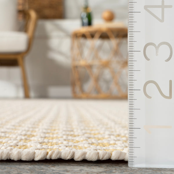 Nuloom Home Conservatory Trellis Handwoven Indoor/Outdoor Area Rug Beige