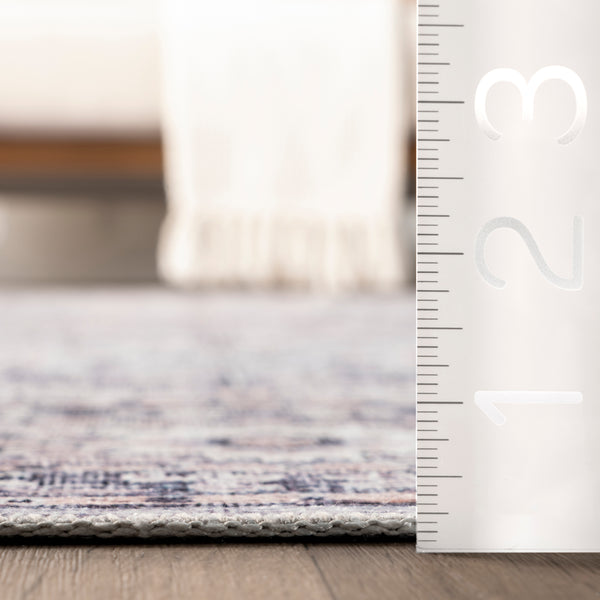Nuloom Indy Vintage Stain-Resistant Machine Washable Area Rug Gray