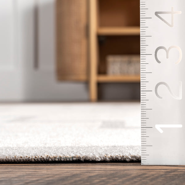 Nuloom Isa Southwestern Indoor/Outdoor Fringe Area Rug Beige