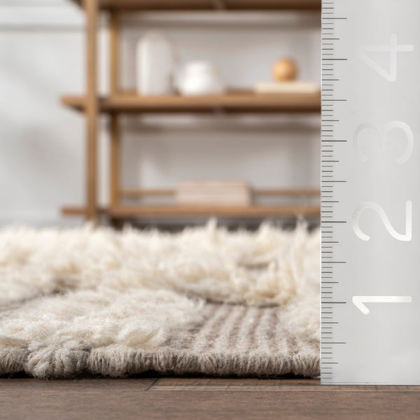 Nuloom Kandice Contemporary Trellis Wool Blend Area Rug Beige