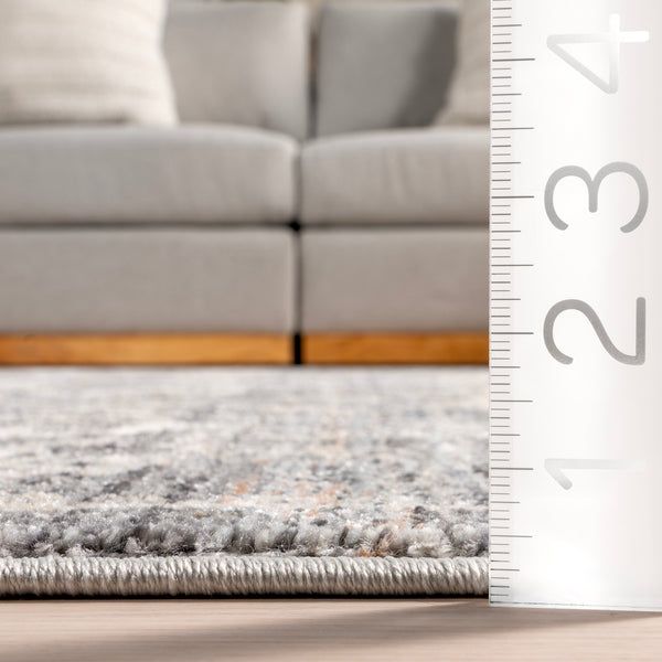 Nuloom Kaylani Transitional Medallion Area Rug Gray