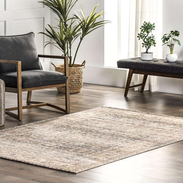 Nuloom Lesley Handmade Flatweave Cotton Blend Distressed Vintage Area Rug Beige