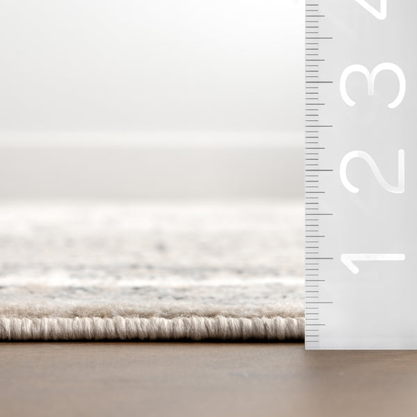 Nuloom Lilyanna Traditional Medallion Area Rug Grey