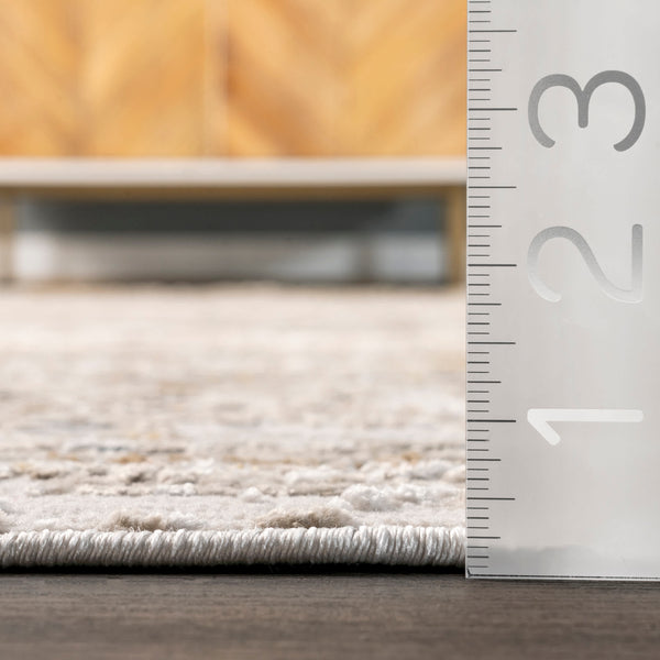 Nuloom Lucille Faded Vintage Medallion Area Rug Beige