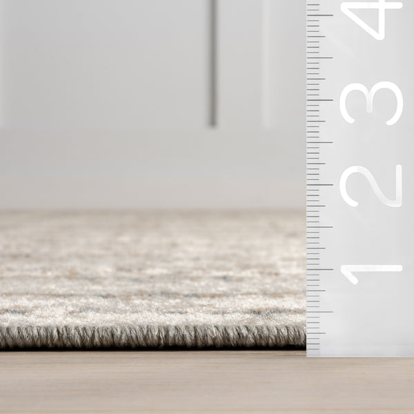 Nuloom Aella Distressed Medallion Area Rug Beige