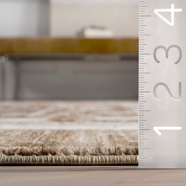 Nuloom Agave Geometric Fringed Area Rug Brown