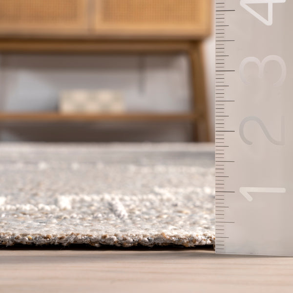 Nuloom Alani Textured Moroccan Area Rug Beige