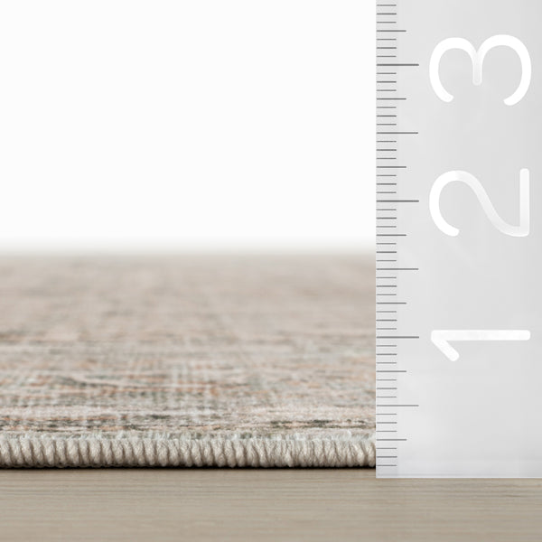 Nuloom Nuloom Barilas Bordered Traditional Washable Area Rug Beige
