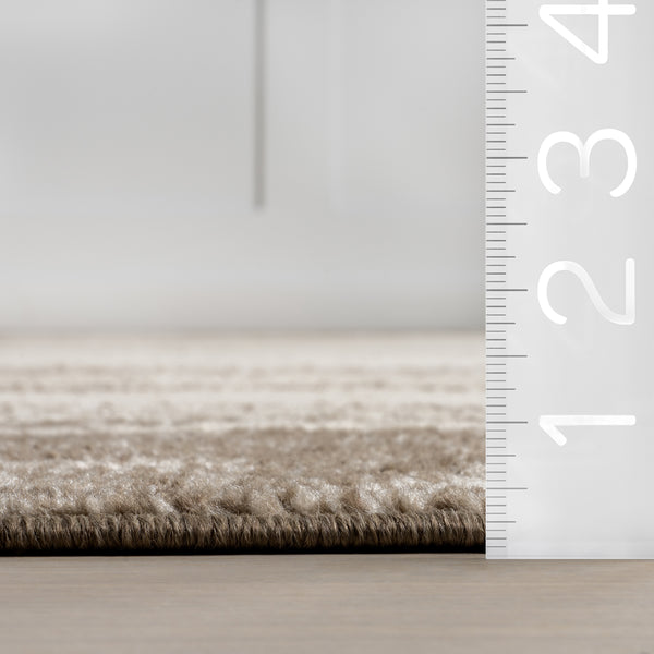Nuloom Casiane Vintage Bordered Area Rug Brown