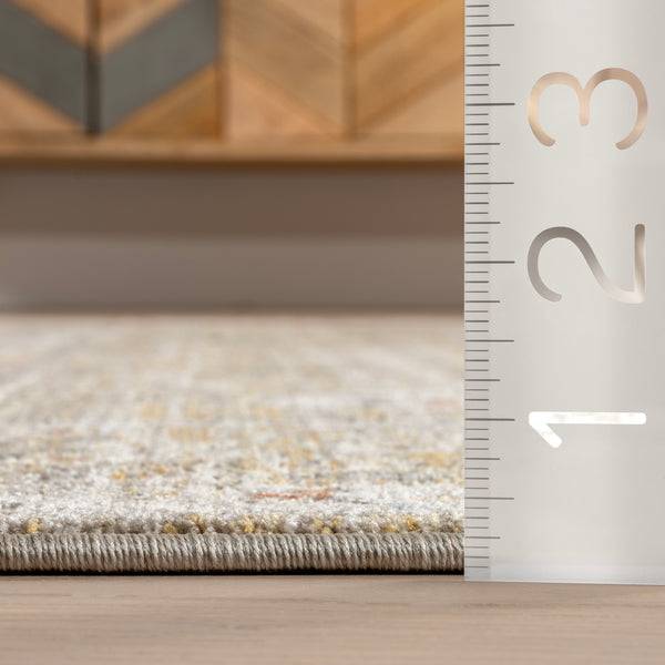 Nuloom Chava Vintage Floral Area Rug Gray