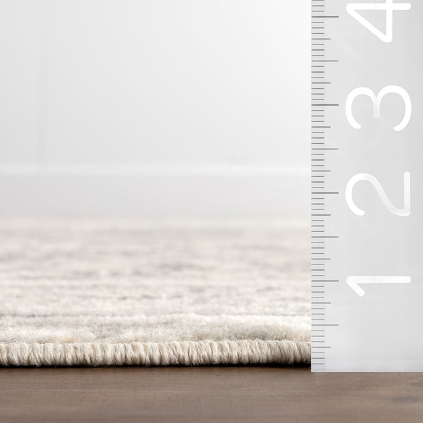 Nuloom Gem Traditional DIstressed Area Rug Grey