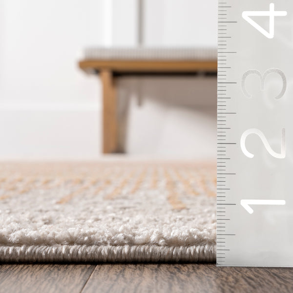 Nuloom Jobelle Modern Sunray Area Rug Rust