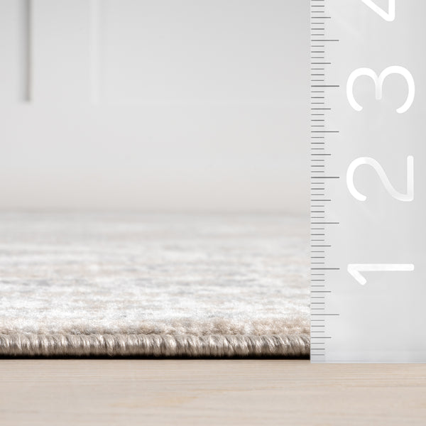 Nuloom Nidia Tradtional Vintage Area Rug Beige