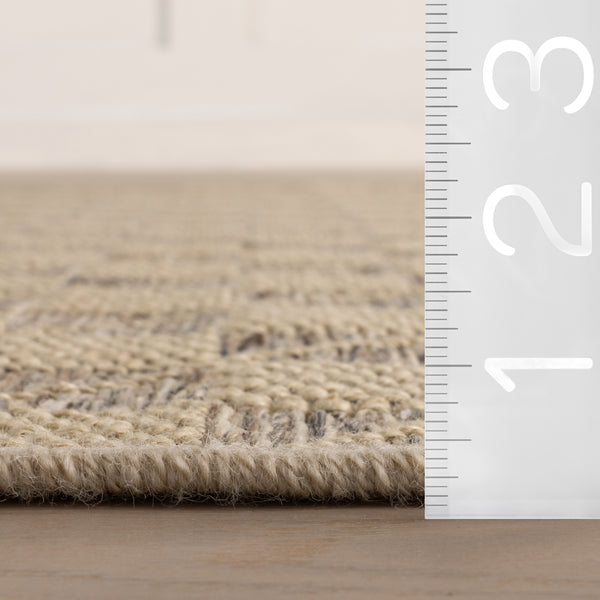 Nuloom Nuloom Fiorenna Modern Checkered Rug Beige
