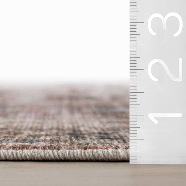 Nuloom Nuloom Orielle Medallion Traditional Washable Area Rug Rust