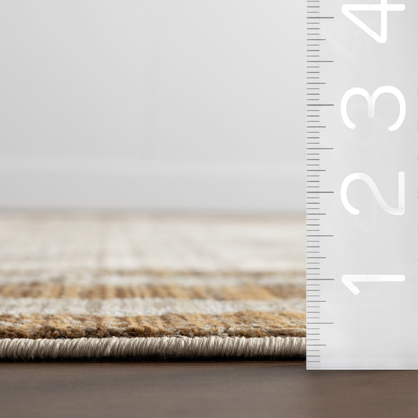 Nuloom Patan Distressed Area Rug Beige