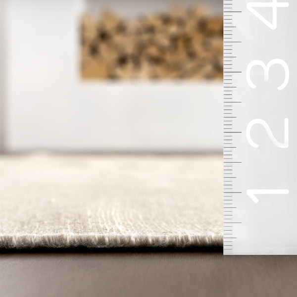 Nuloom Salima Solid Indoor/Outdoor Area Rug Beige