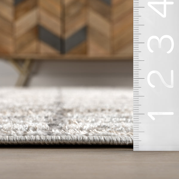 Nuloom Xylia Checkered Area Rug Beige