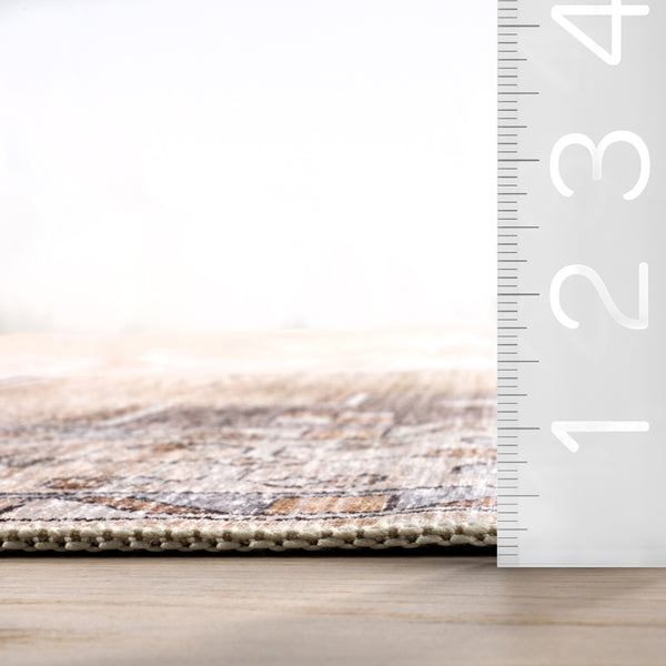 Nuloom Pavani SplashGuard Vintage Bordered Machine Washable Area Rug Sand