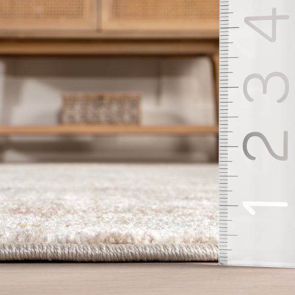 Nuloom Porter Faded Medallion Fringe Area Rug Beige