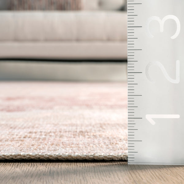 Nuloom Rosa Machine Washable Distressed Vintage Medallion Area Rug Light Pink