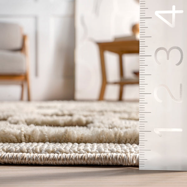 Nuloom Roslin Moroccan High-Low Tasseled Area Rug Beige