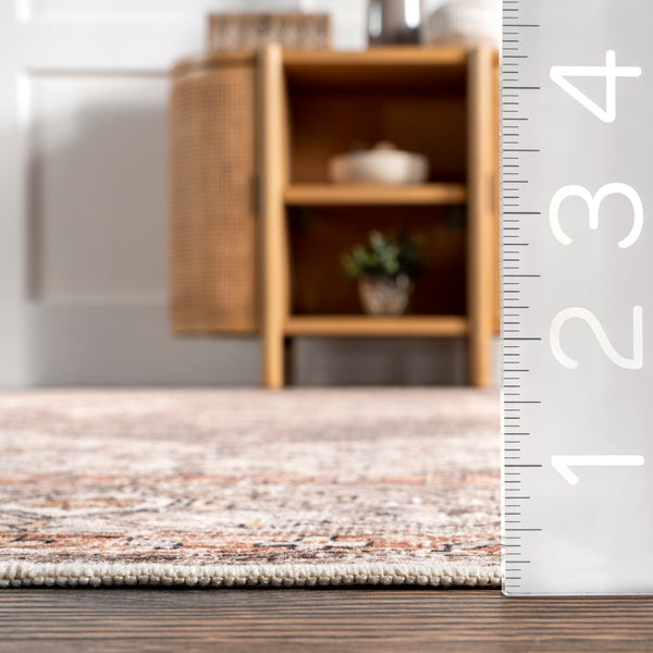 Nuloom Sanna Distressed Medallion Machine Washable Area Rug Brown
