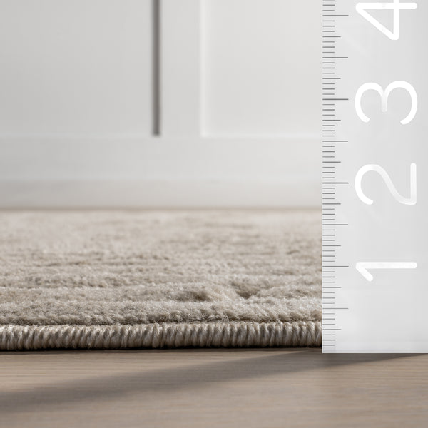 Nuloom Zipporah Striped Indoor/Outdoor Area Rug Beige